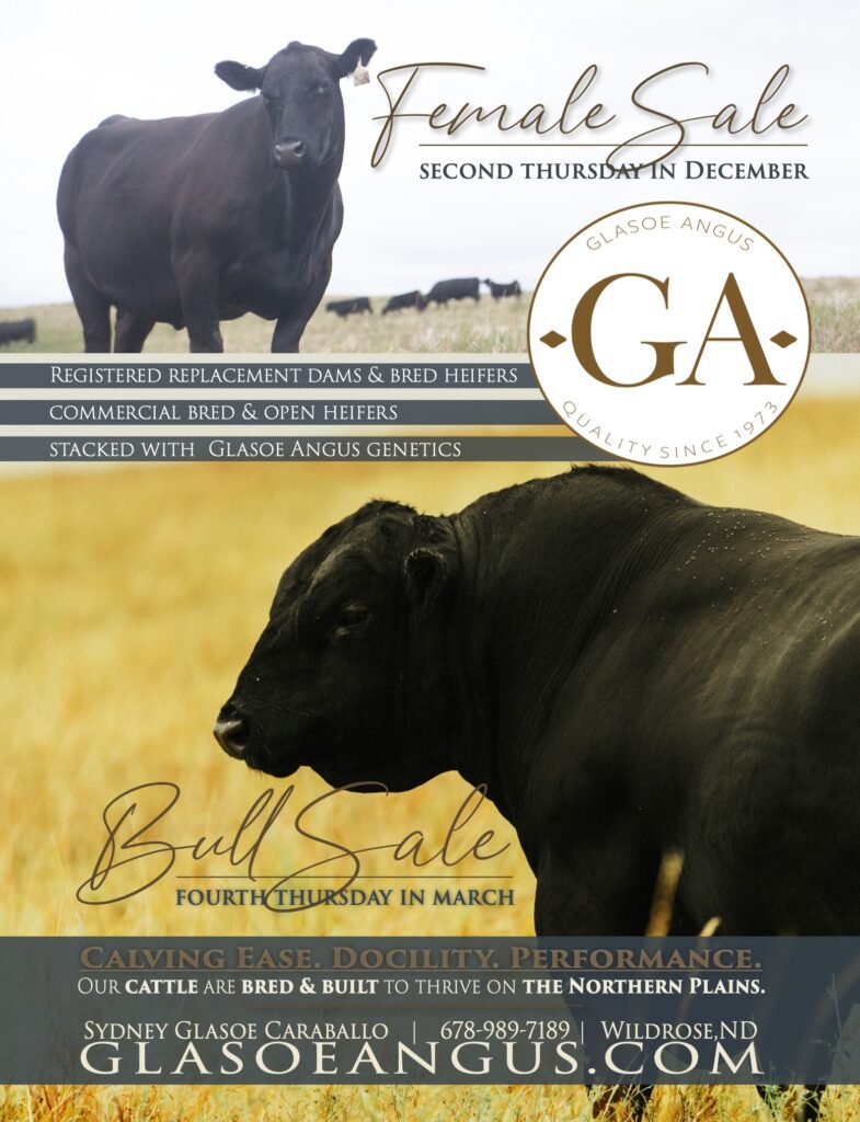 Glasoe Angus - Bill Pelton Livestock, LLC