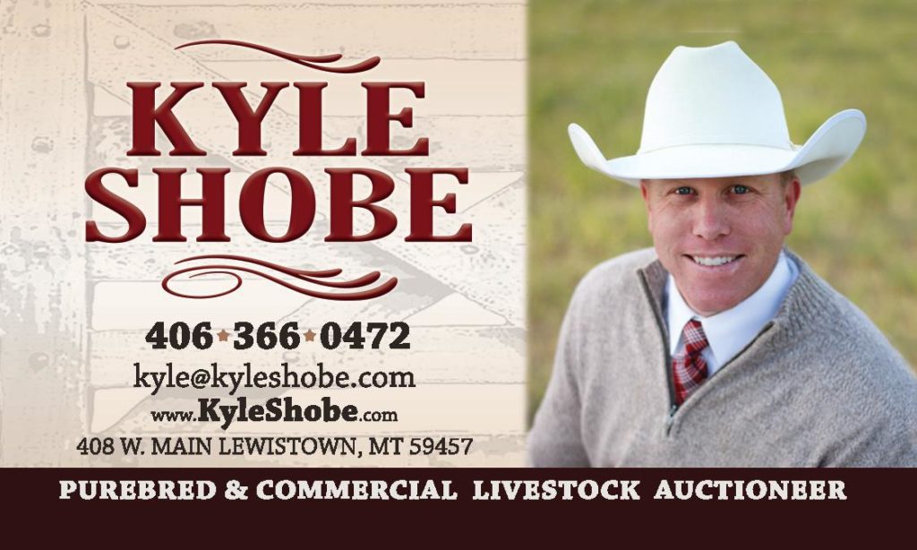 Kyle Shobe Auctioneer - Bill Pelton Livestock, LLC